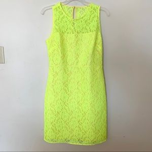 NWT J Crew lace dress